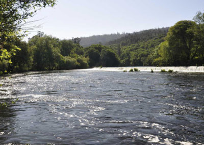 Cotos del Ulla, Sinde