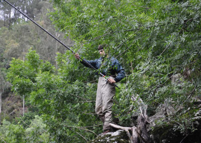 Cotos del Ulla, Sinde