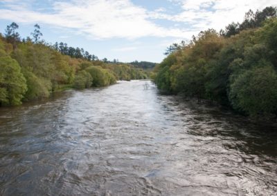 La temporada de pesca