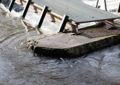 La temporada de pesca