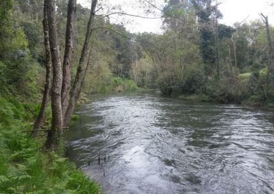 Estado del río Eo