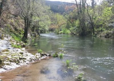 Estado del río Eo