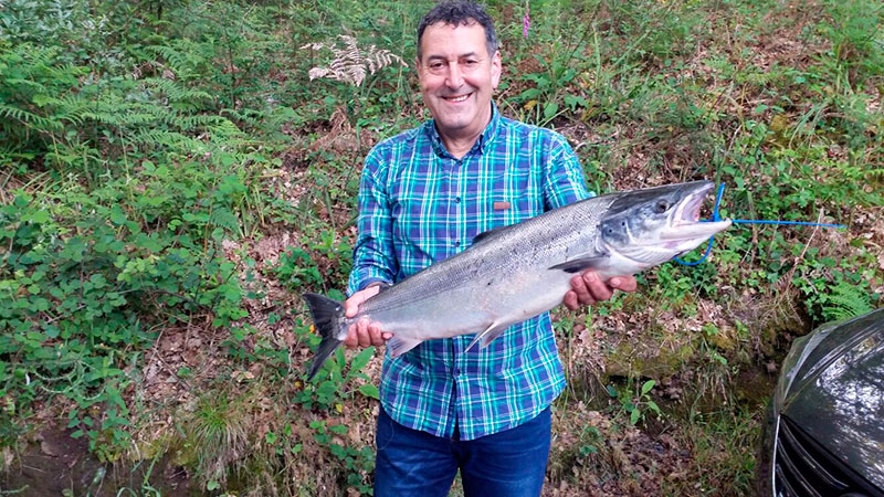 Antonio Bouza Fernández, de A Pontenova, saca un salmón de 4,400 kg a cebo natural en el puesto roto, coto de Ximonde.
