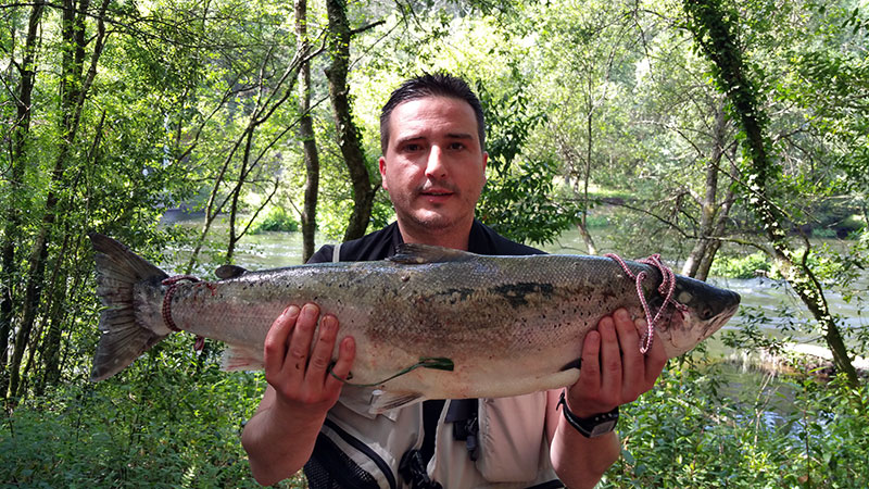 Edmundo Castro Sabugueiro, de Santiago de Compostela, saca un salmón de 4,700 kg, en el puesto de O Bote a cucharilla.