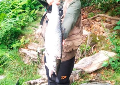 Cierre de la jornada salmonera día 28 de junio