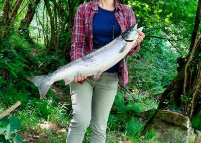 Cierre de la jornada salmonera día 1 de julio