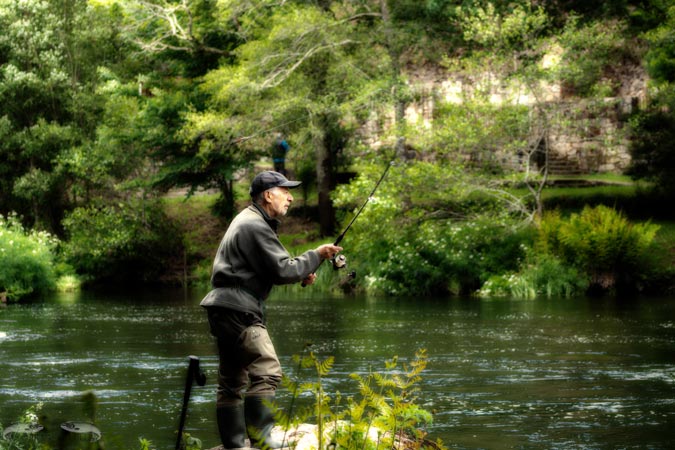 Jornada salmonera del día 19 de abril