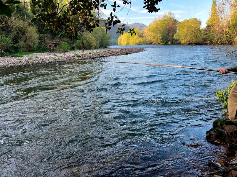 día 16 de abril jornada salmonera