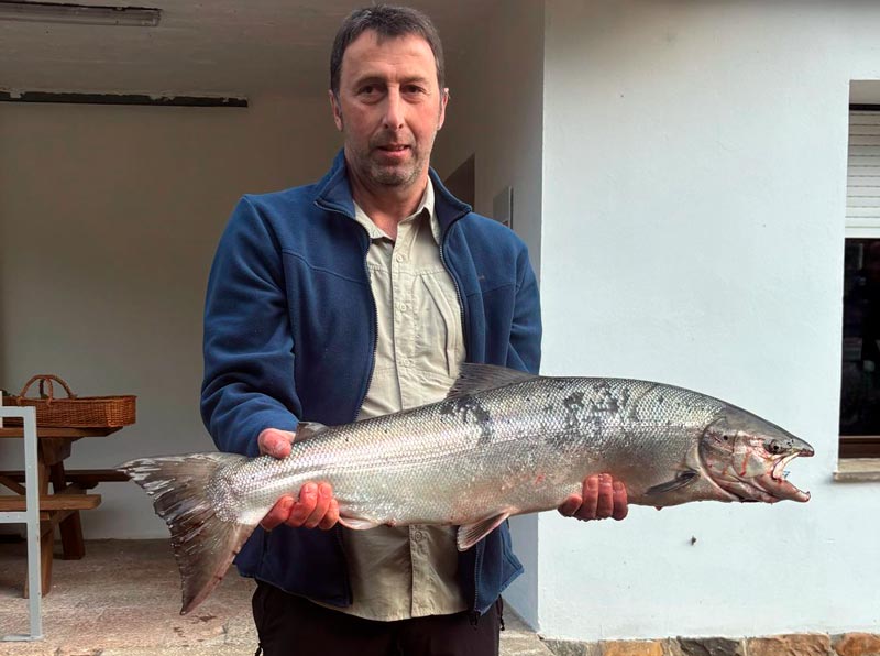 Primer salmón de la temporada 2024 de Asturias Campanu de Asturias.