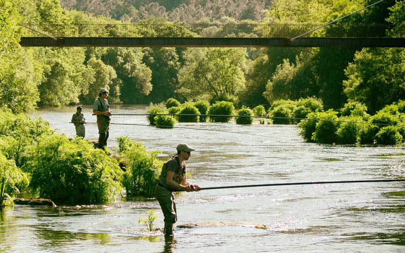 Jornada salmonera del día 10 de Jornada salmonera del día 10 de