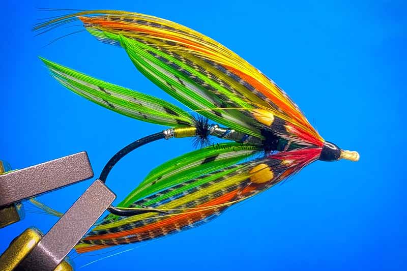 Green highlander Double Green highlander Double