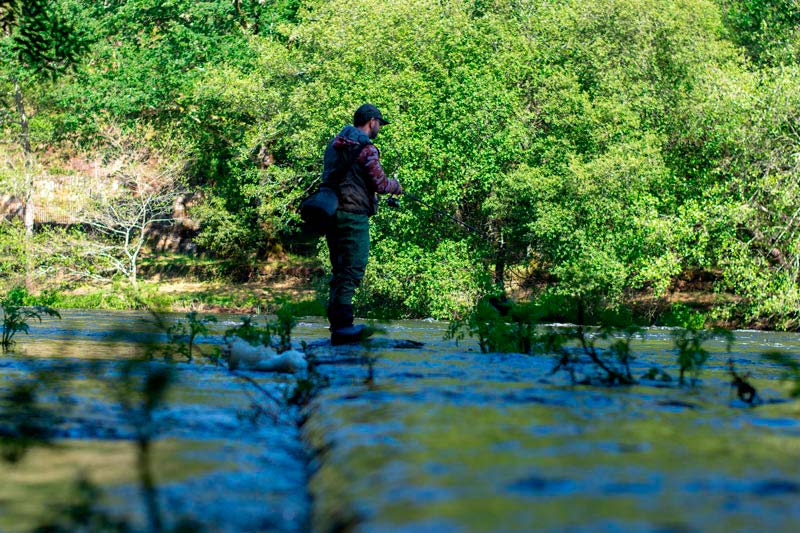 Jornada salmonera del día 18 de mayo Jornada salmonera del día 18 de mayo